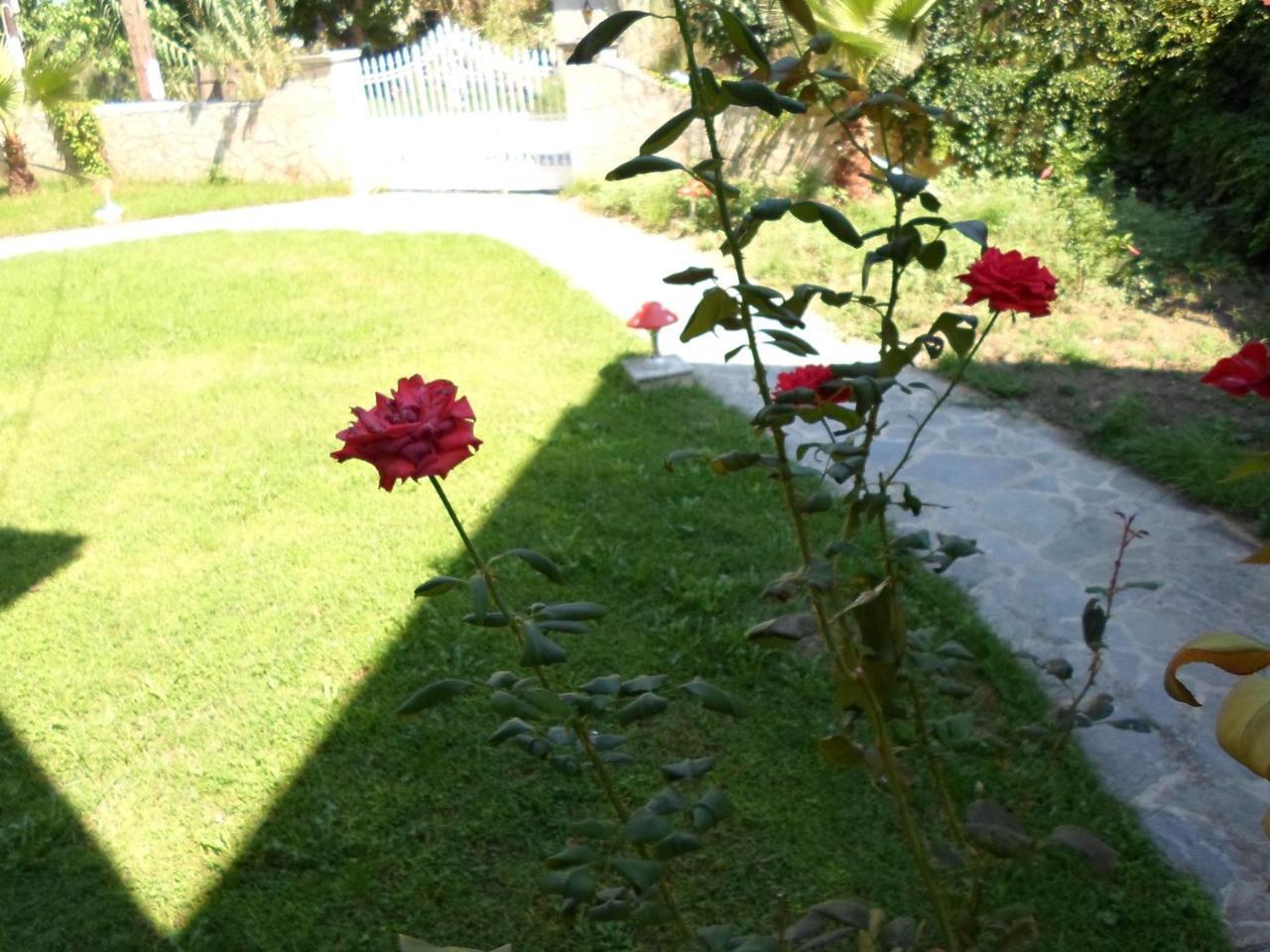 Hotel Villa Basil Tsilivi  Exterior foto